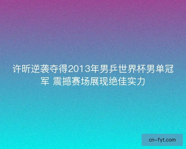 许昕逆袭夺得2013年男乒世界杯男单冠军 震撼赛场展现绝佳实力 许昕逆袭夺得2013年男乒世界杯男单冠军 震撼赛场展现绝佳实力